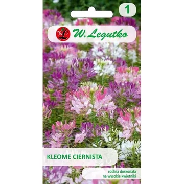 Kleopátra tűje  színkeverék  Kleopátra tűje  színkeverék