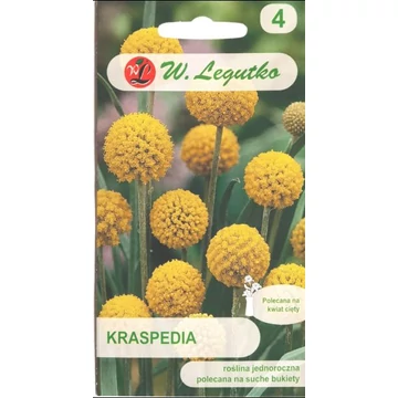 Dobverővirág ( Craspedia globosa) W.L