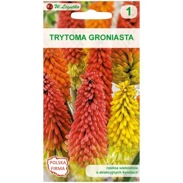 Fürtös Fáklyaliliom