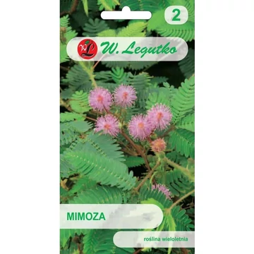 Mimóza -rózsaszín