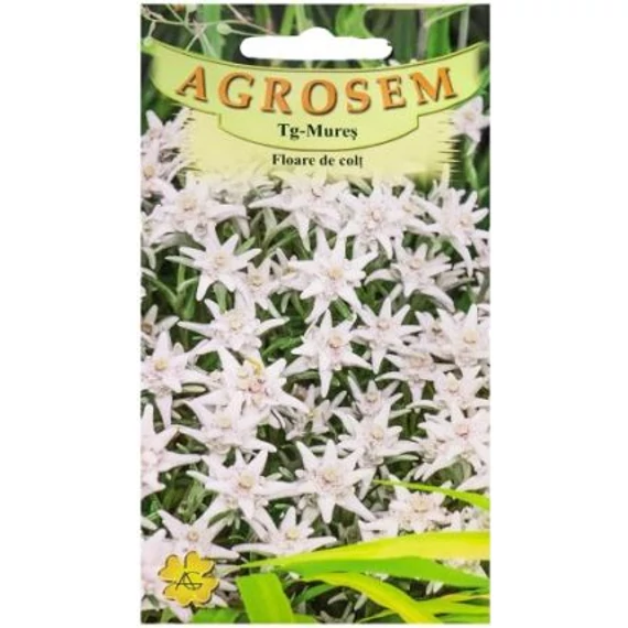 Havasi gyopár  Havasi gyopár