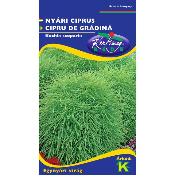 Nyári ciprus  Nyári ciprus