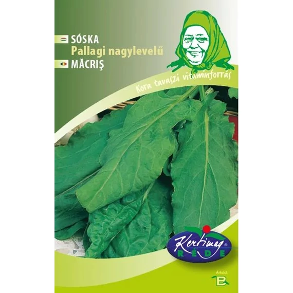 Sóska Pallagi nagy levelű