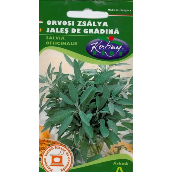 Orvosi Zsálya  Orvosi Zsálya