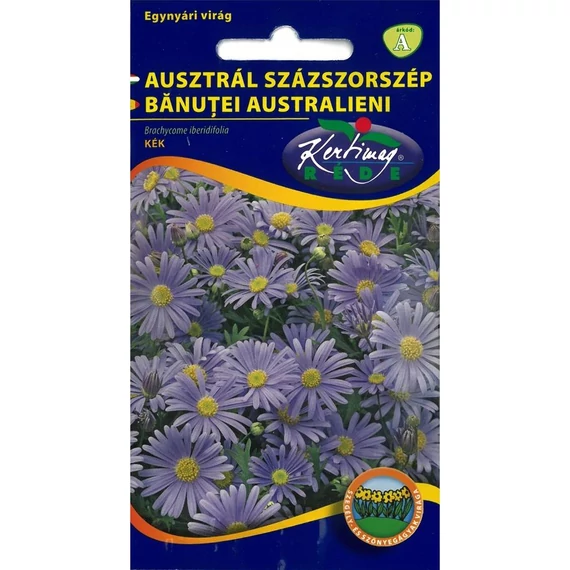Ausztrál százszorszép AKCIÓS !