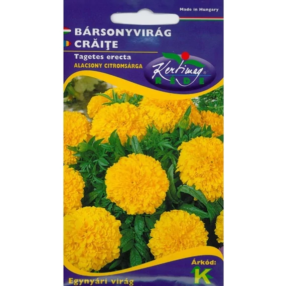 Bársonyvirág nagyvirágú alacsony citromsárga