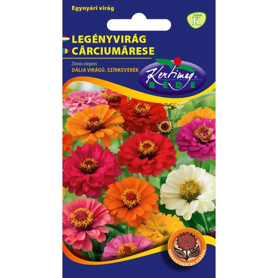 Legényvirág ( Rézvirág )Dália virágú szinkeverék "KM"