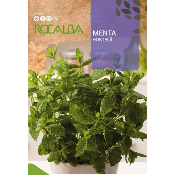 Menta 