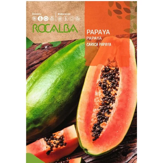 Papaya Dinnyefa 