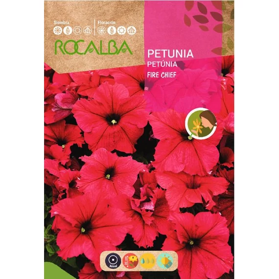 Petunia nagyvirágú piros AKCIÓS  Petunia nagyvirágú piros AKCIÓS