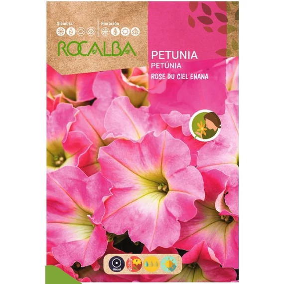 Petunia nagyvirágú rózsaszín AKCIÓS  Petunia nagyvirágú rózsaszín AKCIÓS
