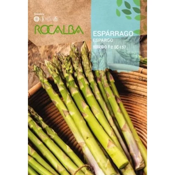 Rocalba spárga mag kép  Rocalba spárga mag kép