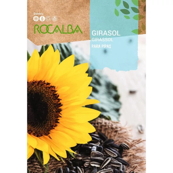 Napraforgó (Helianthus annuus) Girasol Para Pipas 