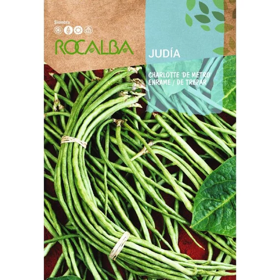 Bab Charlotte "R" Ölesbab