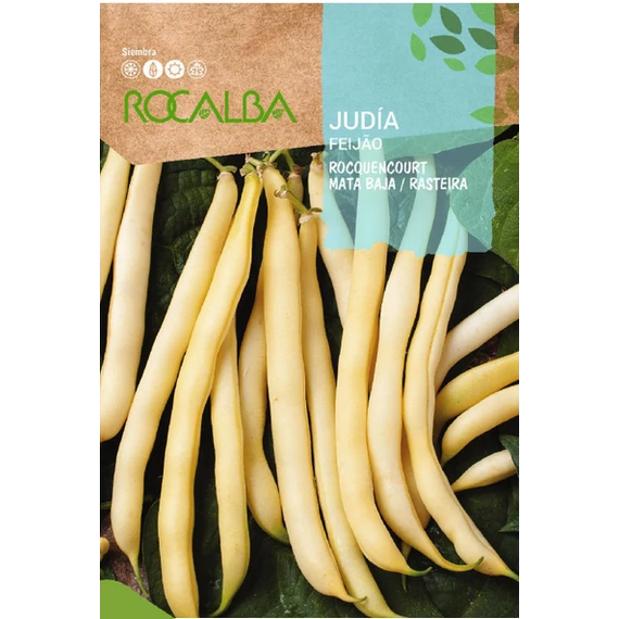 Bab Rocquencourt "R"