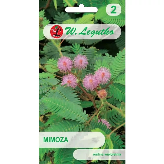 Mimóza -rózsaszín Mimóza -rózsaszín