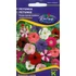 Kép 1/2 - Petunia kisvirágú színkeverék "KM"