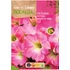 Kép 1/2 - Petunia nagyvirágú rózsaszín AKCIÓS  Kép 1/2 - Petunia nagyvirágú rózsaszín AKCIÓS