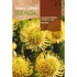 Kép 1/2 - Protea Leucospermum High Gold Kép 1/2 - Protea Leucospermum High Gold
