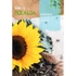 Kép 1/2 - Napraforgó (Helianthus annuus) Girasol Para Pipas 