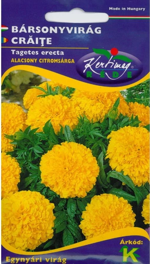 Bársonyvirág nagyvirágú alacsony citromsárga