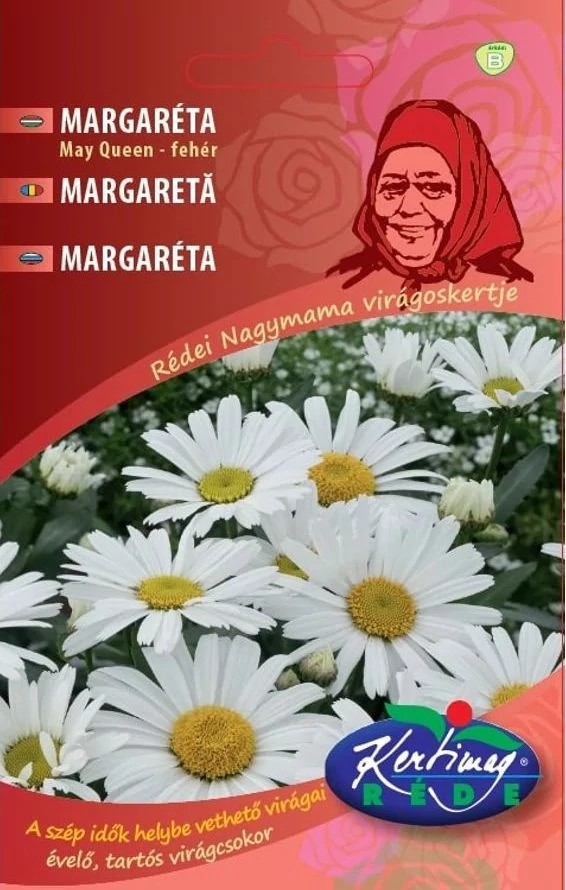 Margaréta fehér  ( Margitvirág)  My Queen ( Nagymama virágoskertje ) 