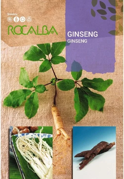 Ginseng