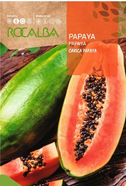 Papaya Dinnyefa 