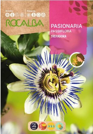 Kék golgotavirág ( Passiflora caerulea )