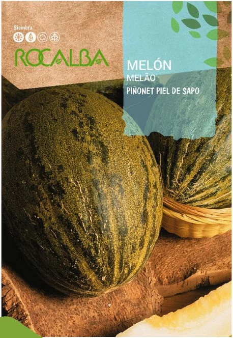 Sárgadinnye Piel de Sapo AKCIÓS 