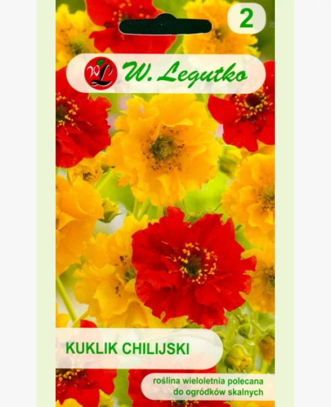 Chilei gyömbérgyökér 