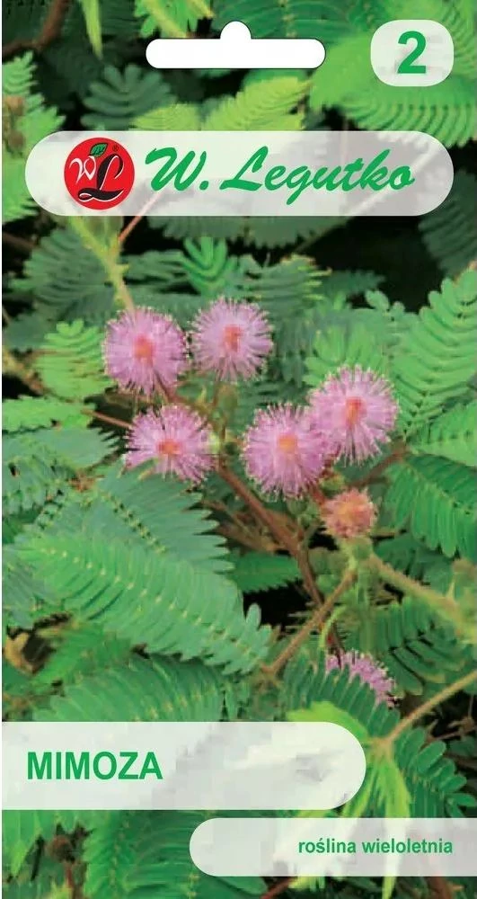 Mimóza -rózsaszín